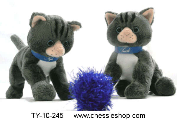 Cat Related Toys