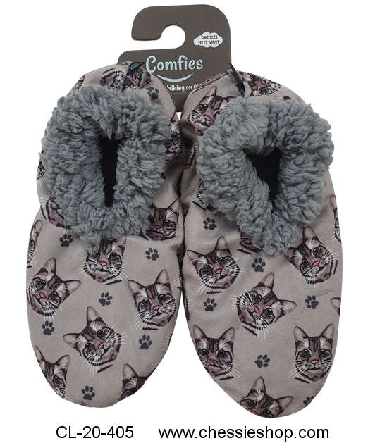 Slippers, Silver Tabby Pet Lover