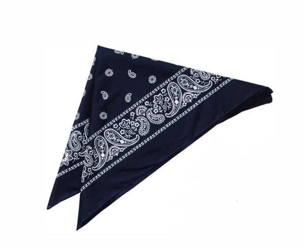 Bandana, Navy, Paisley, 22"X22"