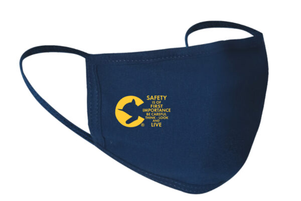 PPE Protective Face Mask Chessie/Safety