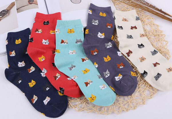 Socks, Cute Cats, Vivid Color