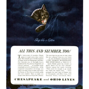 SV-18-030 "Starlight Chessie" Matte Print