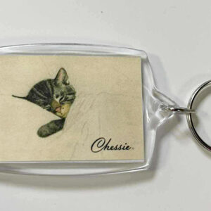 AC-24-349 Classic Chessie Keychain